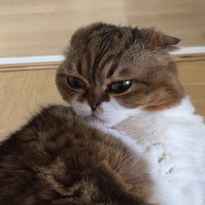 413f27f7 d28f 4e19 9fc4 1e24eae97391