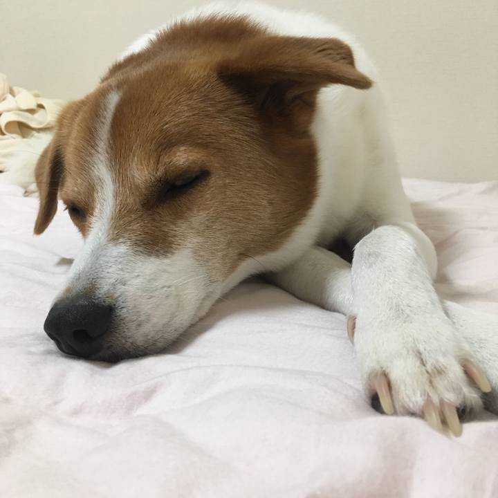 413f8780 15c4 4f68 a798 1cdafd429f42