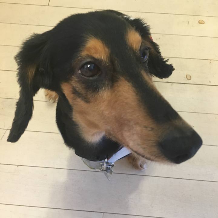 413f8d09 a13a 46cd bba5 6b9ae49e8c0f