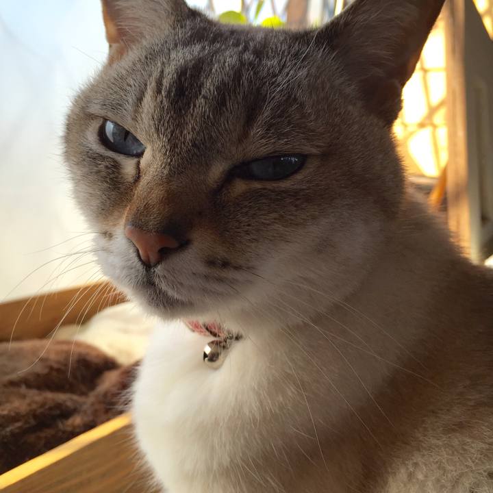 413fbb45 edbc 4d26 b843 5d0e86c94e7b