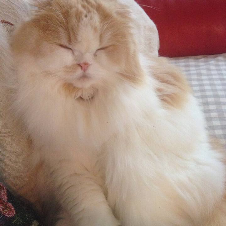 4140836b 8790 42ea 87e5 cfaa36f3fec6