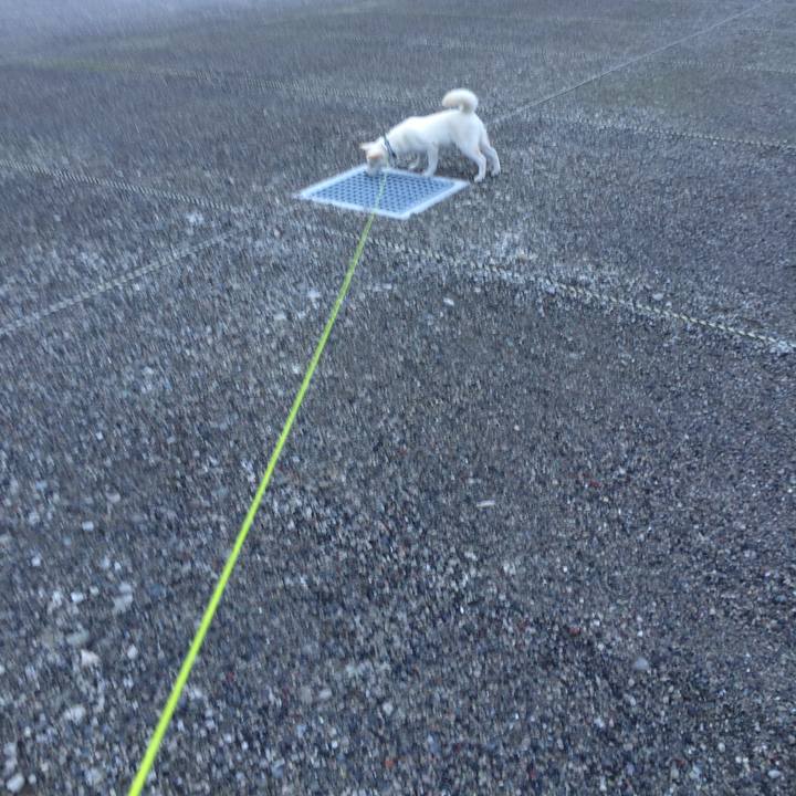 41413342 71a0 47bd 931e f9d353ede97d