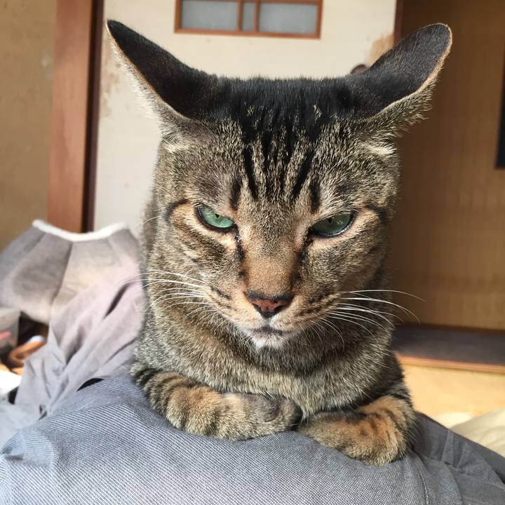 41414ddc 44a9 43e2 9c36 68d381635730