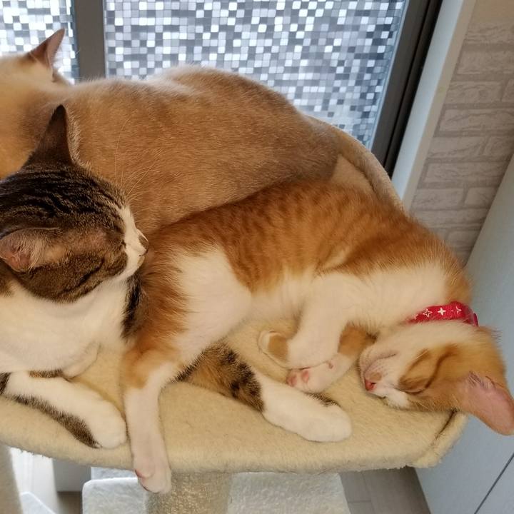 414172c7 8976 436b 82d6 610d484d0ad1