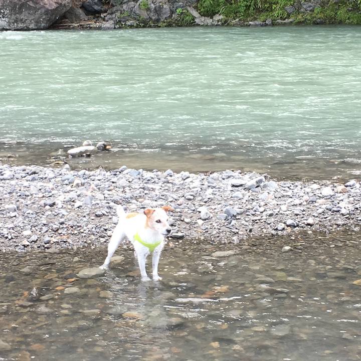 41420afd 66c0 404e 9993 a6fd4b22216e