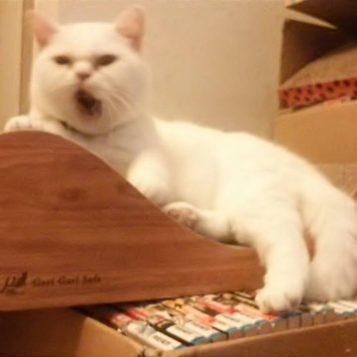 41423561 b2a8 475b a346 42e99bde57d4