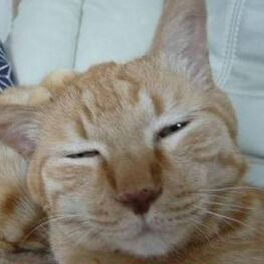 4142767b c50a 446f b985 6c43c12e0c5b