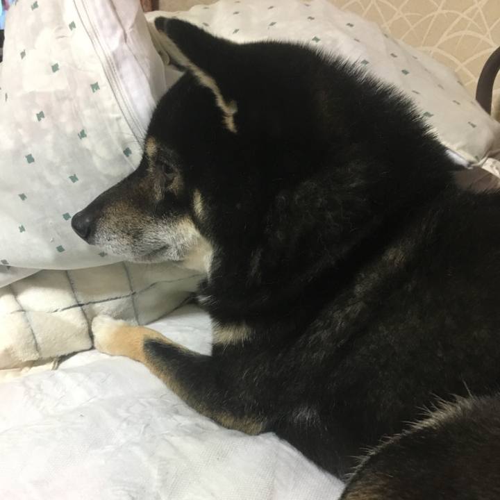 41427a0a 1334 4e21 bb59 7fcc140ef3cb