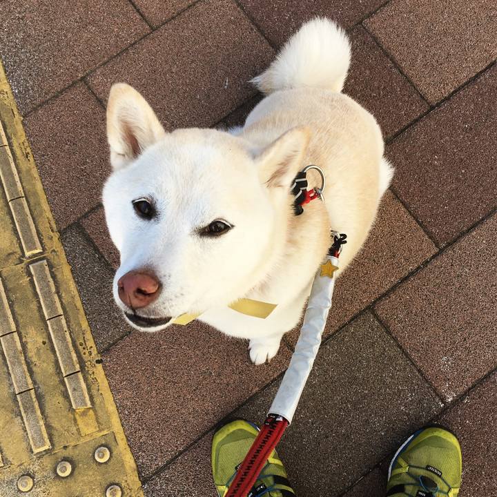 414348ca 4807 454f b2ee c0fdf49ca73a