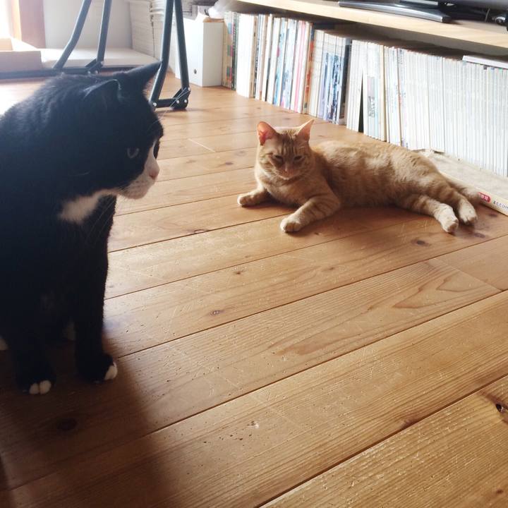 4143d371 895c 435b 98a6 fa8d6586797d