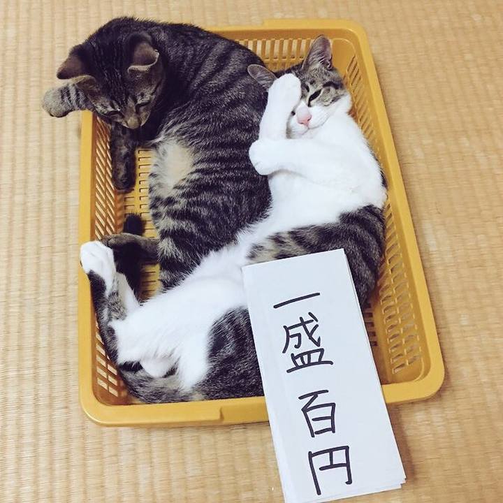 414402bf 31cd 4ea2 9872 7cabcb7d0e6f