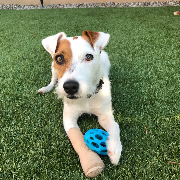 41447f0e d1c5 40fb 91c6 bd4205f45b68