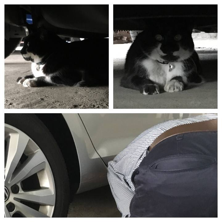 41450867 adaf 4d44 bdce 287ce6edf11c