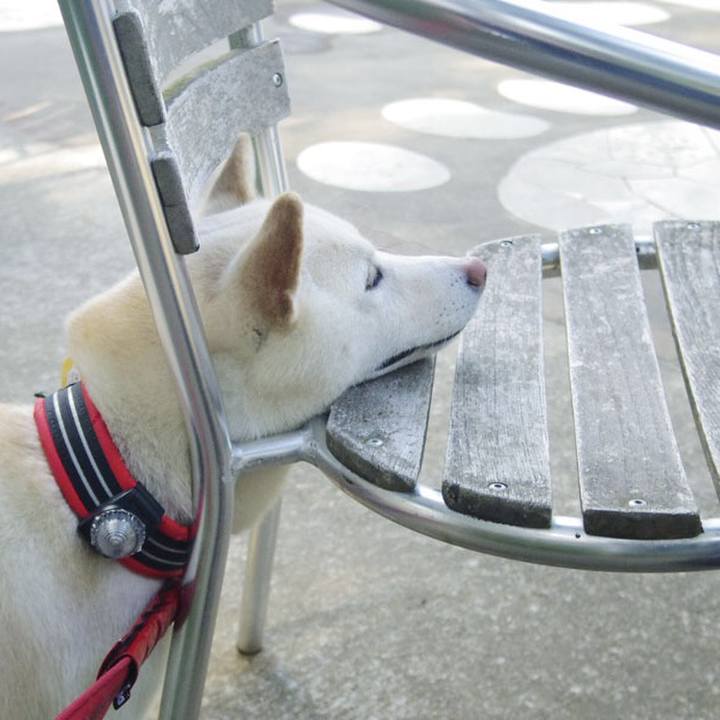 414617eb 083c 4120 a9e5 20f65b1a943f