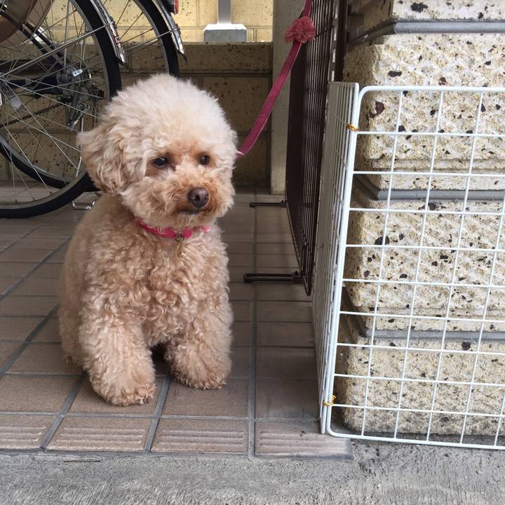 4146fa53 a06e 411b bd0e afc439801b30