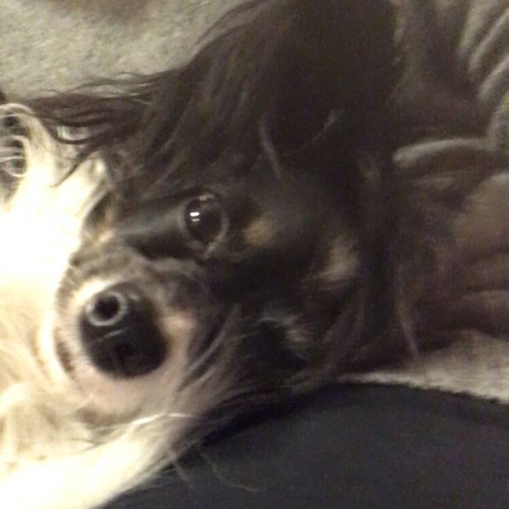 41479967 f6b2 421f ab0c 760160e27f56