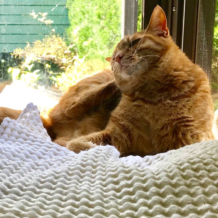 41485b9b dc5c 4193 b613 ad7f6ea834f5