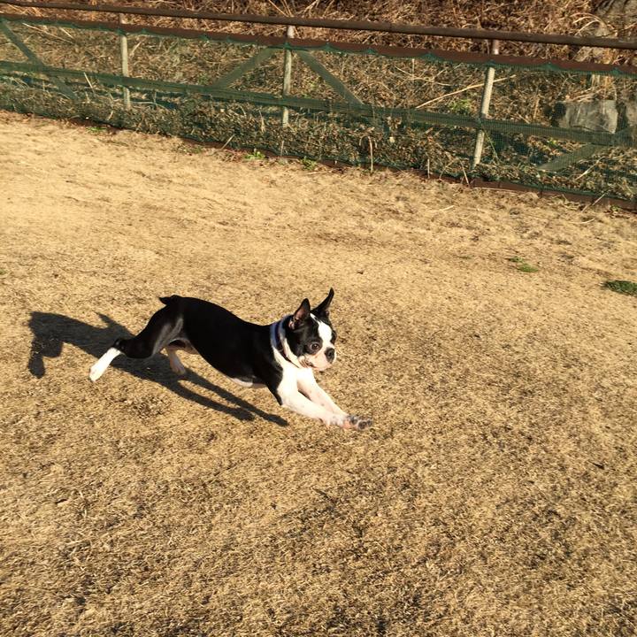 4148f88c 1cd9 4fa9 8a76 5cd1fd9c259b