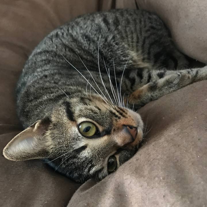 414938a5 b6bf 4837 b29c ea06cbeaea5b