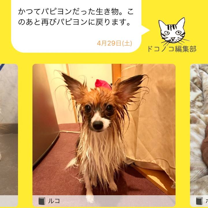 4149d6d4 2d7a 4f7b 9b5f 893c3cdbe94e