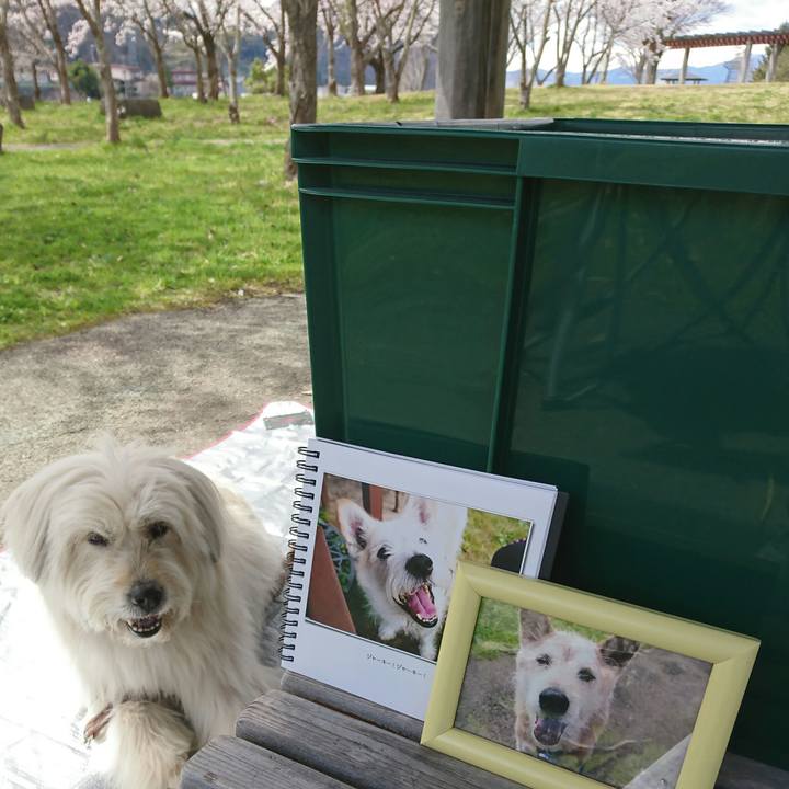 414a9068 fca6 47a5 a43b 1a0f0dce7e0a