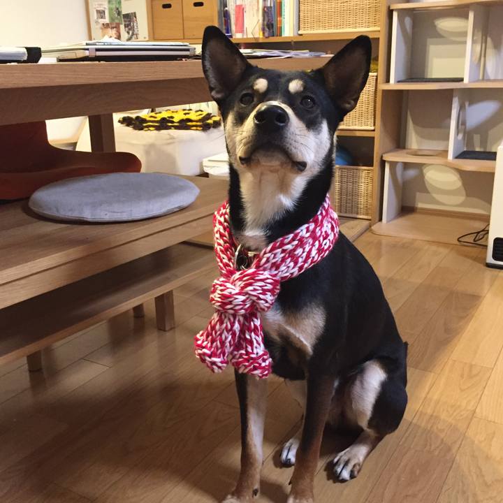 414aa0cd 37a5 4ee3 a95f 99e311e376ba