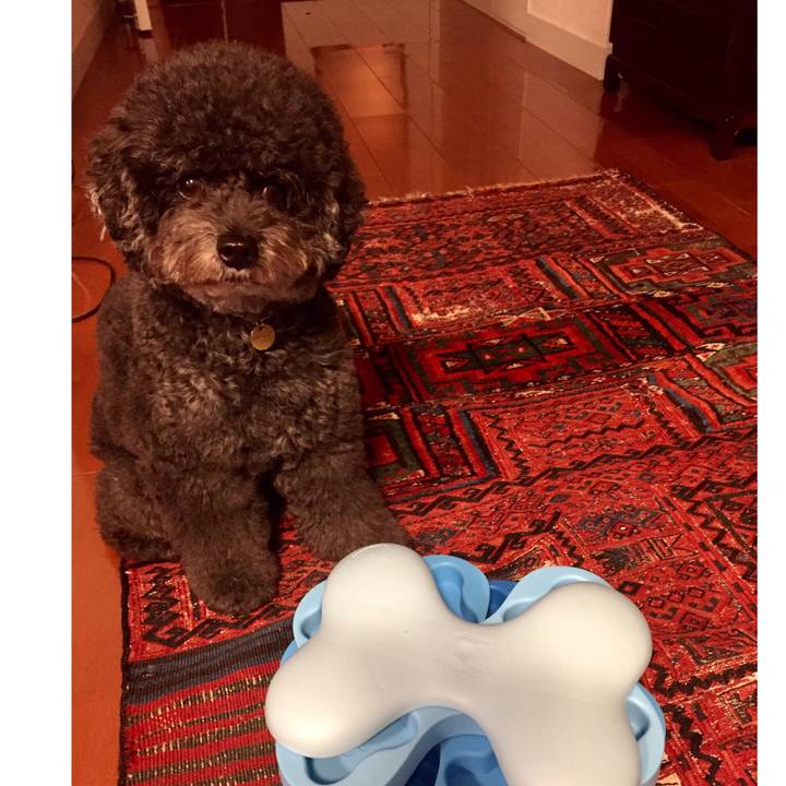 414b0306 7738 464b 80dc b6d32f0baa8f