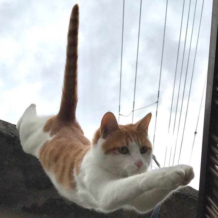 414b660e b5a8 4aa2 97c4 2b630d6bbcf8