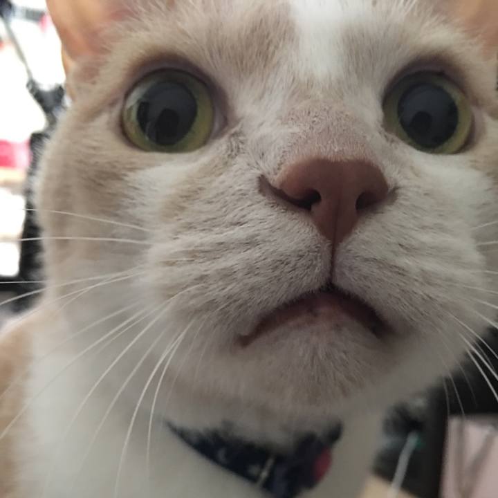 414b7fe2 e741 4a02 abb4 8ccacda547c9