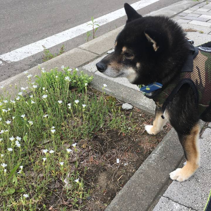 414b8594 cd37 42ba 8ccf 733480e3a9a7