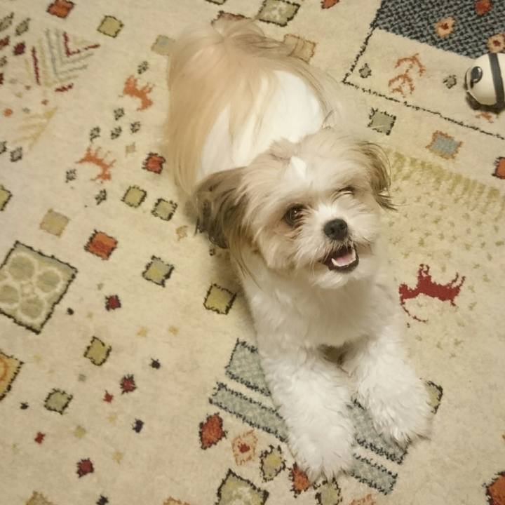 414b96aa f4c5 4d54 9aa3 d9608d4f2a2c