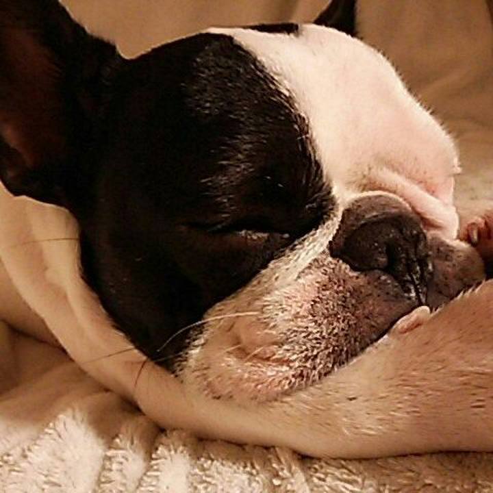 414ba4aa 0875 42d5 901c ecafc35d7cbd