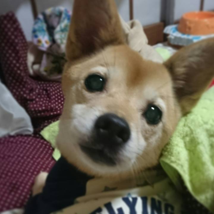 414cac29 2b64 4c49 98cc dc9a7c4efe9f