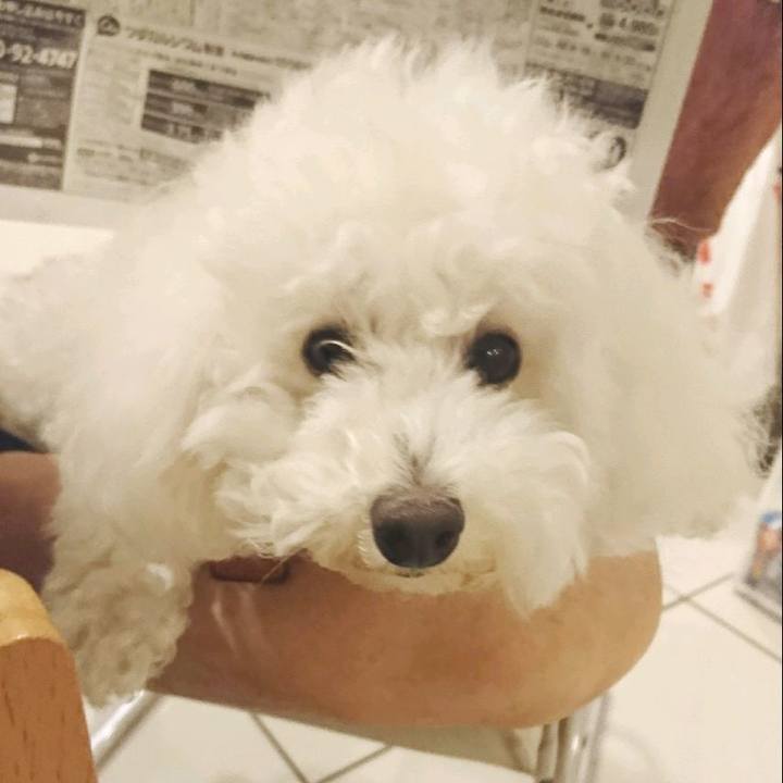 414f2791 ba6c 4f99 a315 993733e80cd9