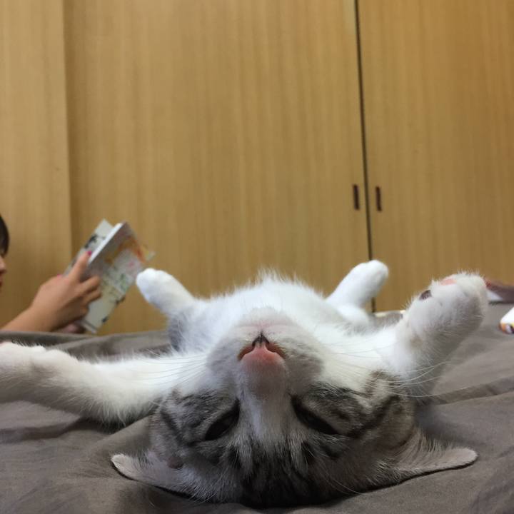 414f3112 5d32 4241 a08c 52e136362fed