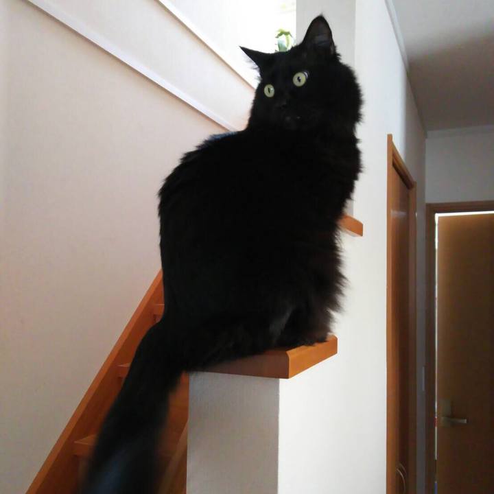 414f7866 f62e 4d1d 8723 194608a6b47f