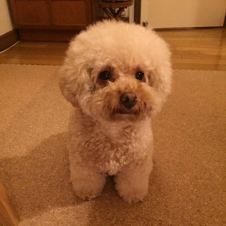 414fa72a ad34 4b28 b3dd 376d05b362fa