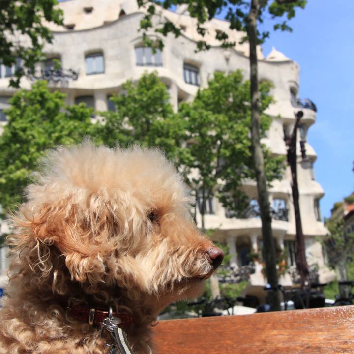 415036d2 e31f 40b2 974e cfadf8d64fc6