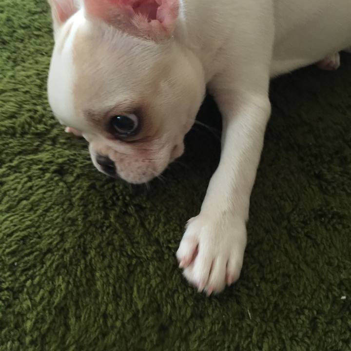 4150c91c 48c3 43ea 8219 ea5f627c34d3