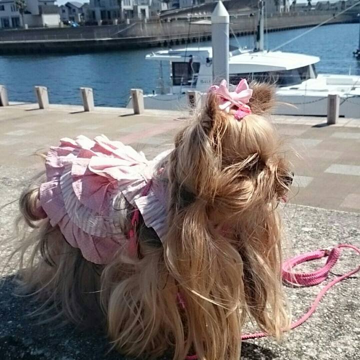 4151bcb6 f709 44d1 ae4a 8aca5f4aae20