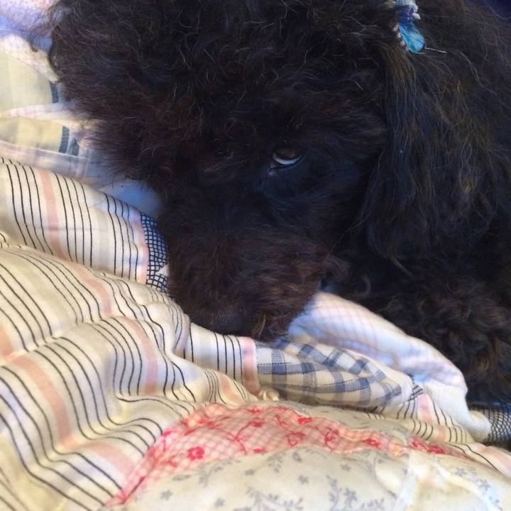 41550f0e 2f27 469f 9970 8bf4dc70421c