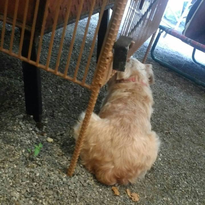 41553753 697c 490a aa3a a48b6b02f1ff