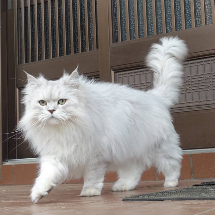 4155519a b476 4d76 8cf8 582399d2977c