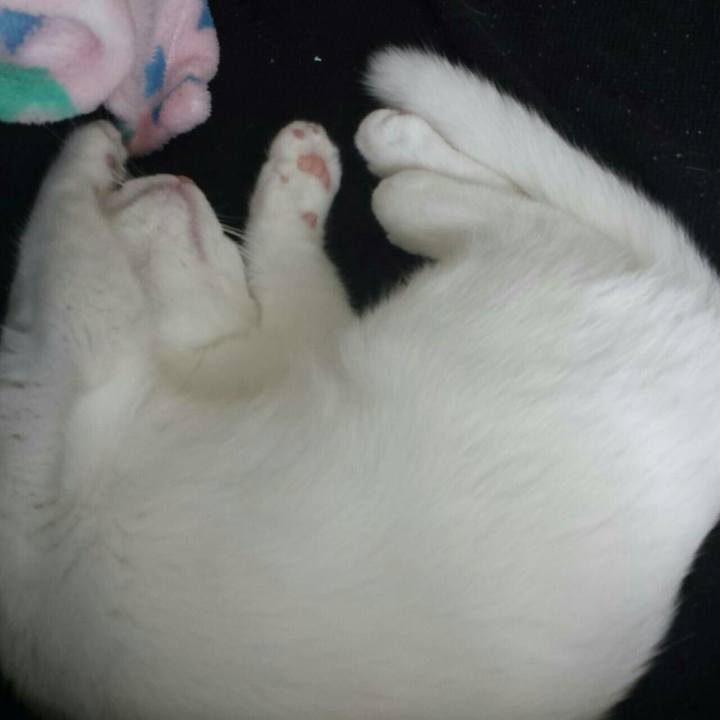 4155be28 5d42 4c65 a738 ea9d7210d187