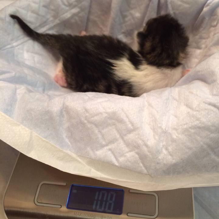 41561256 9c4f 4023 bbf4 daaf08a4b609