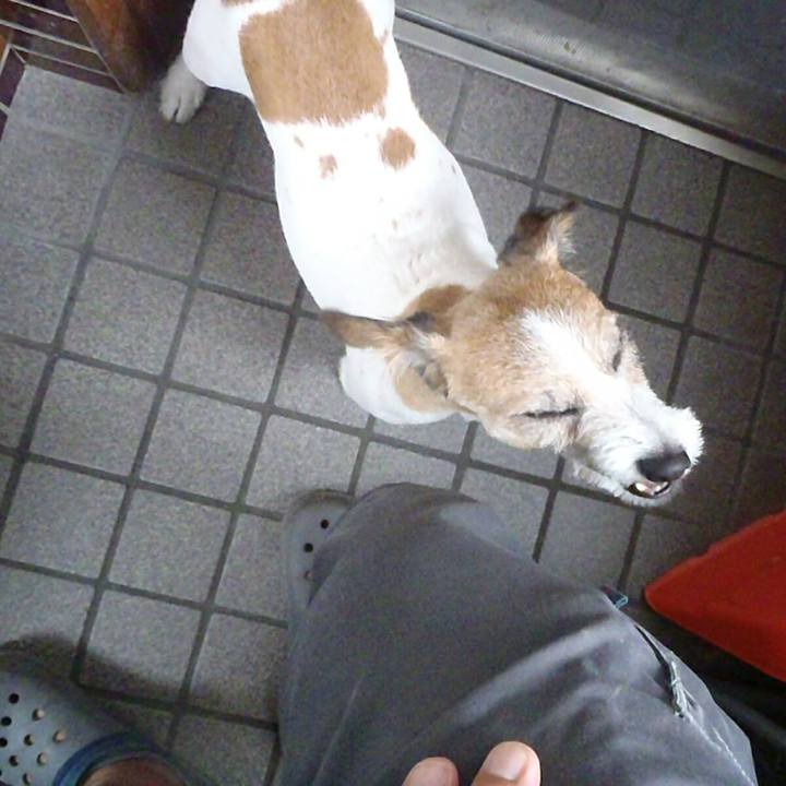 4156a194 c3f0 42e7 b2a5 fd5e20e8f3cb