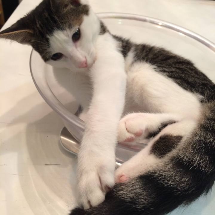 415829f8 076b 4482 b3a9 815f7e9d501a