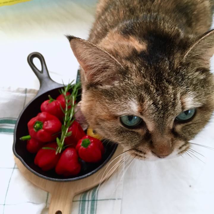 41585491 e4af 43e3 b371 c2e537cc4fb9