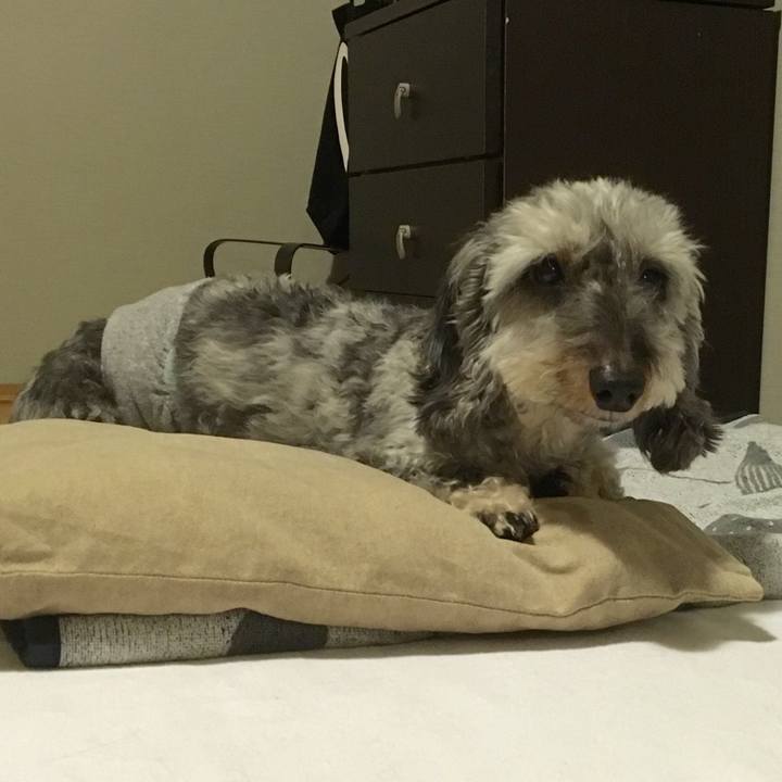 4158b1f6 df49 4e07 9db3 aa056702034c