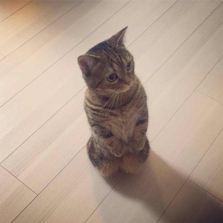 4158c910 9dad 41f8 b3a5 d9d75e1f6e42